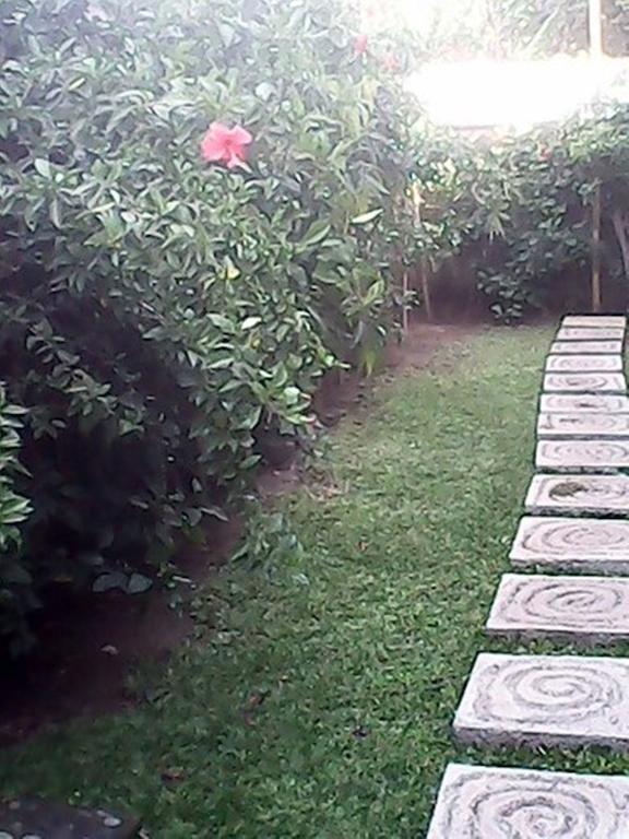 Bali Sari Homestay Amed Esterno foto