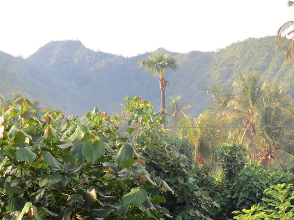 Bali Sari Homestay Amed Esterno foto